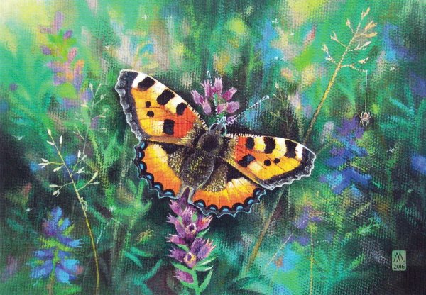 Художница Елизавета Мелкозерова.