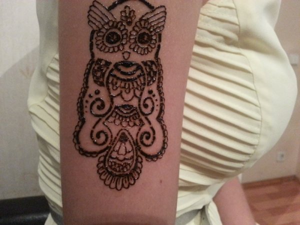 Сова эскиз хной