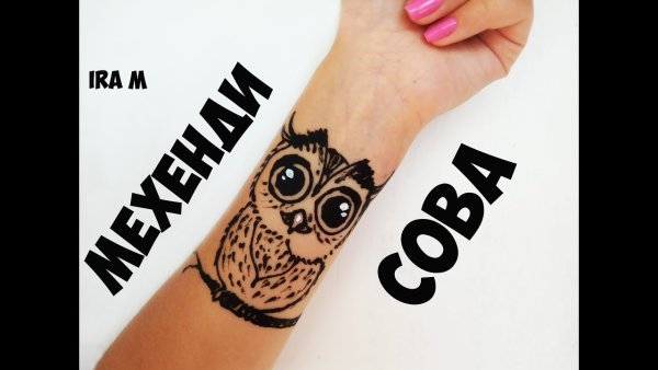 Сова рисунок мехенди