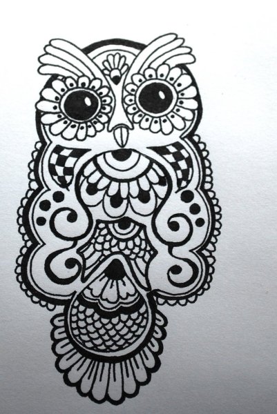 Тату хной Сова