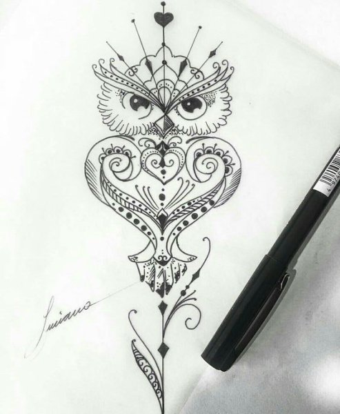 Тату Сова эскиз для девушек