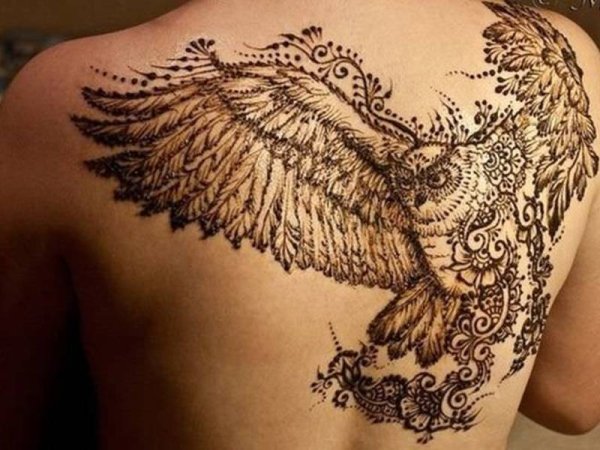 Мехенди Сова