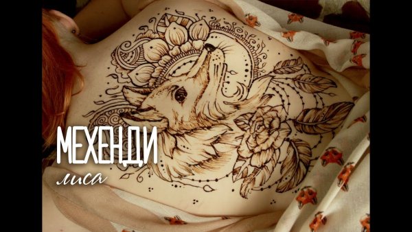 Мехенди лиса