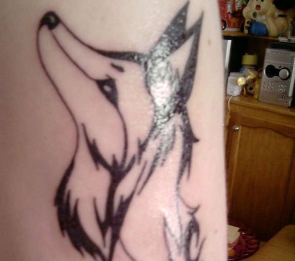 Лиса хной на руке