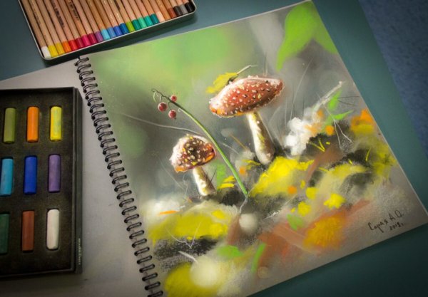 Анастасия серая / художник-пастелист