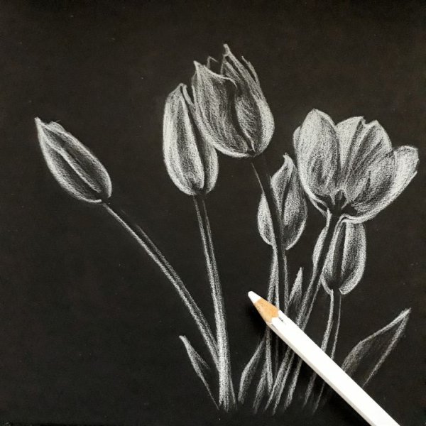 Цветы на черной бумаге