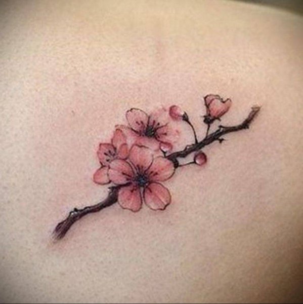 Ветка Сакуры тату