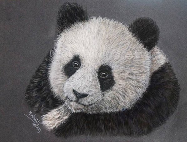 Панда пастелью