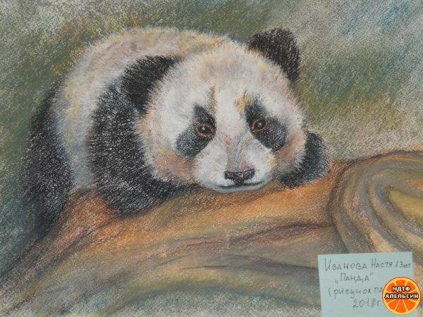 Панда пастелью