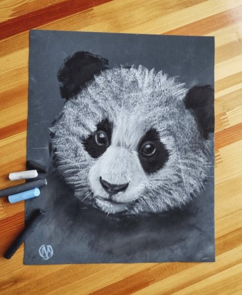 Масляная пастель Панда