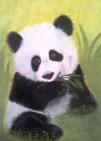 Панда гуашью для детей