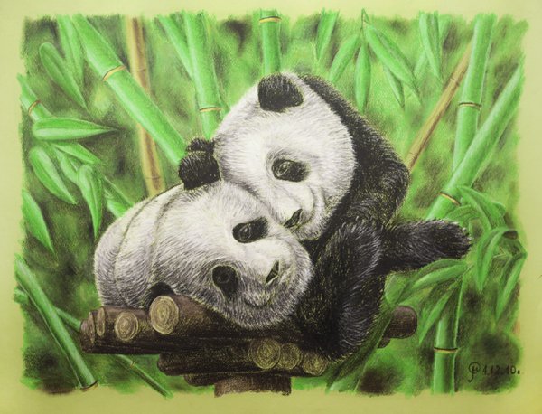 Панда рисунок пастелью
