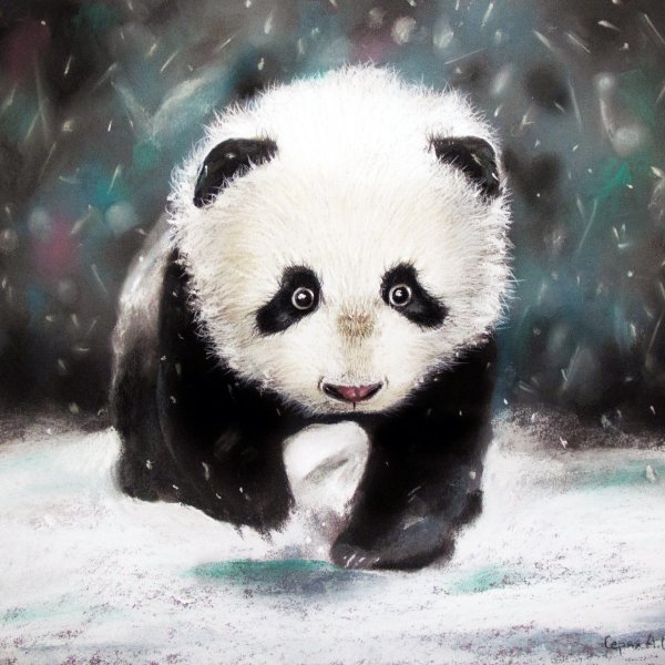 Панда пастелью