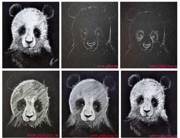 Панда сухой пастелью