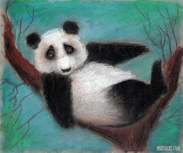 Правополушарное рисование Панда