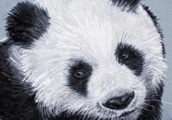 Панда пастелью