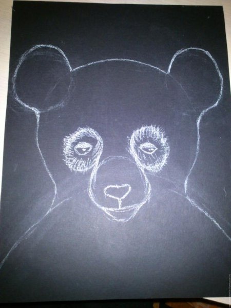 Панда рисунок мелками восковыми