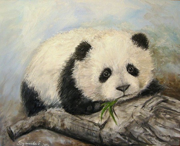Анималистический Жанр картины Панда