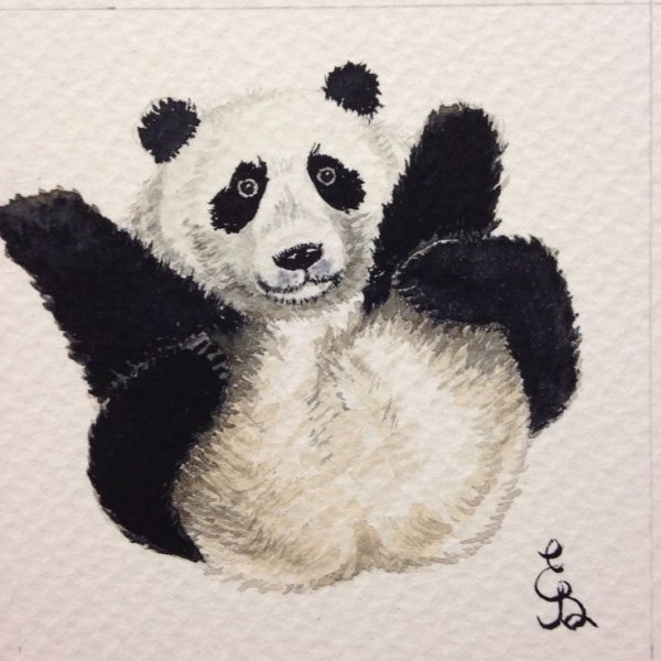 Панда рисунок пастелью