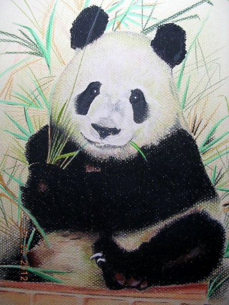 Панда пастелью