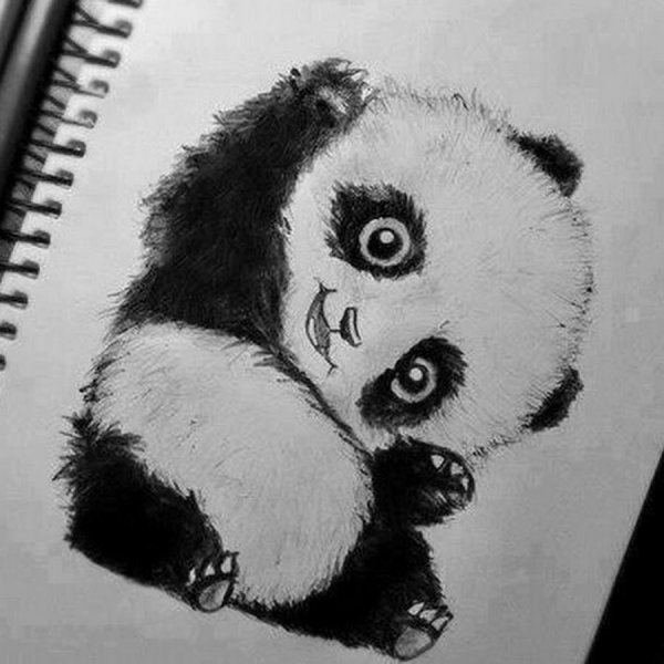 Панда рисунок