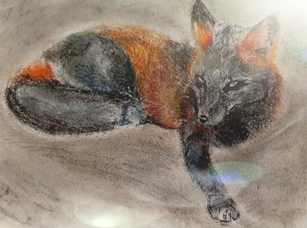 Лиса масляной пастелью