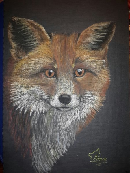 Лиса цветными карандашами