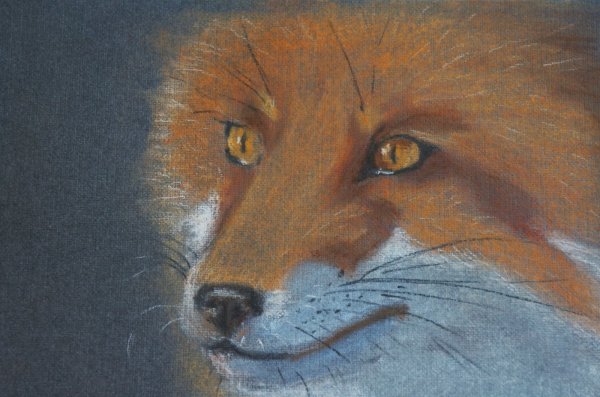 Лисичка пастелью