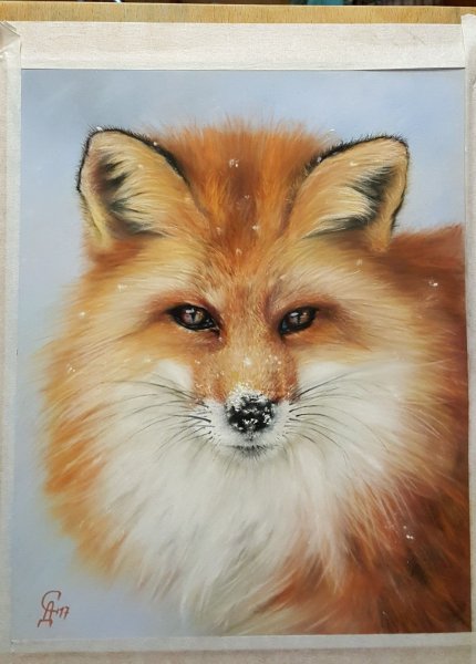 Морда лисы пастелью