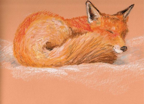 Аннет Логинова лиса