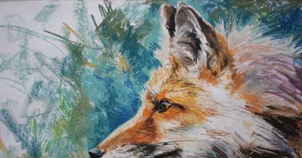 Рисунки масляной пастели лиса