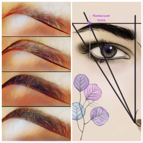 Окрашивание бровей краской пошагово