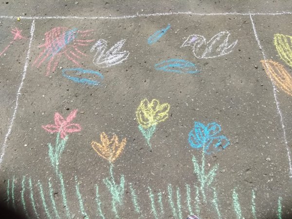 Голубь мира мелками