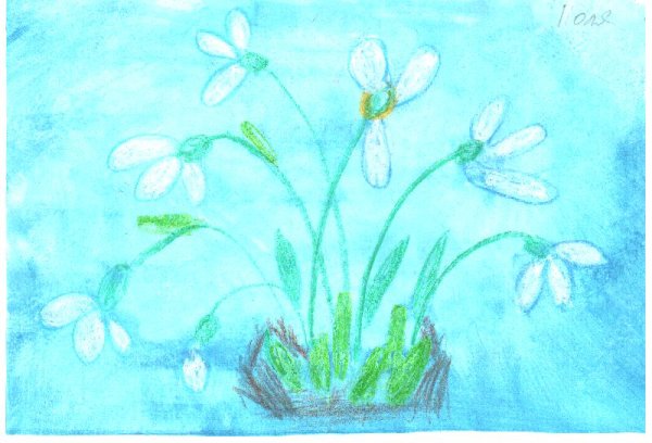 Подснежники восковыми мелками