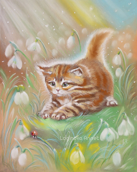 Аннет Логинова кошки