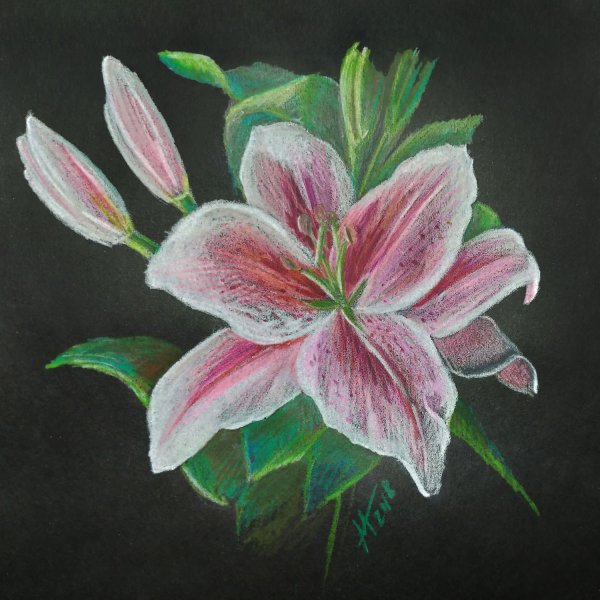 Цветы пастельными карандашами