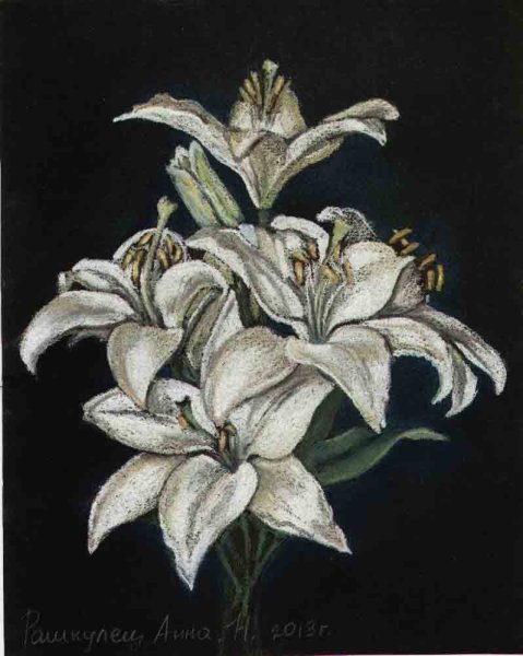 Лилии пастелью