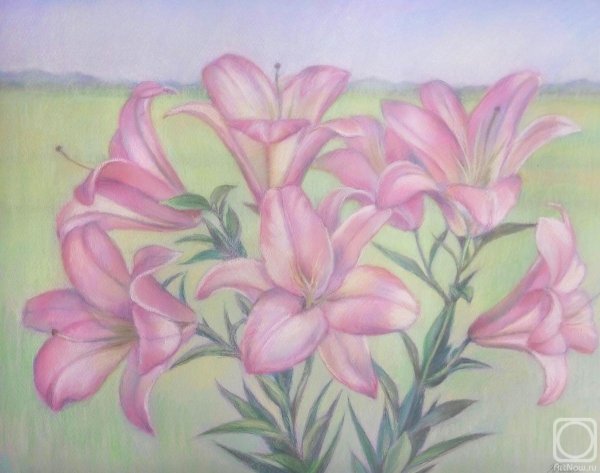 Лилии сухой пастелью