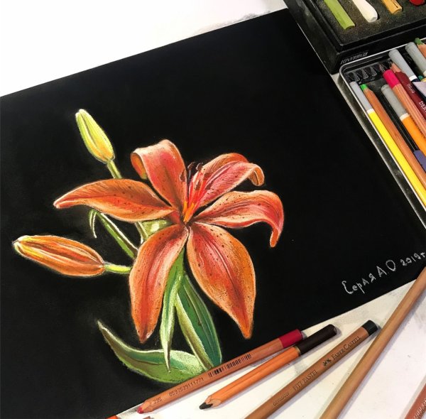 Пастель на темном фоне