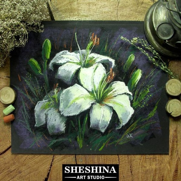 Екатерина Шешина пастель мастер класс