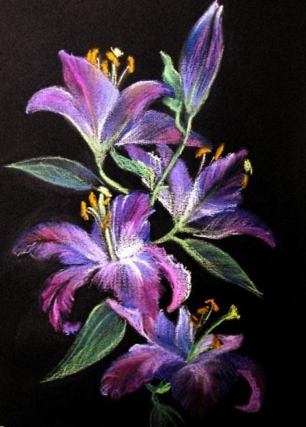 Пастель на черном фоне