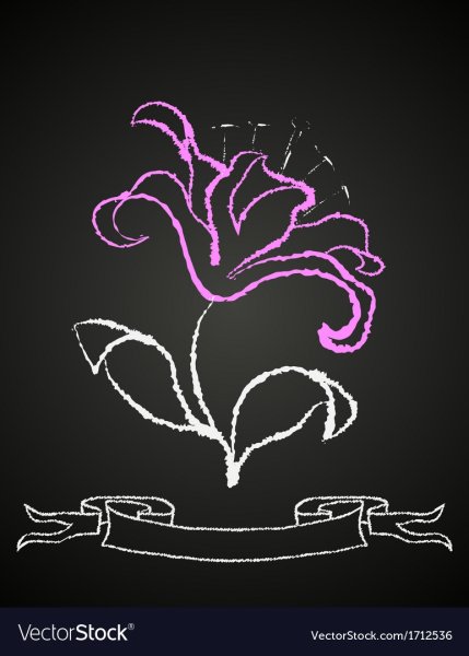 Цветы нарисованные мелом