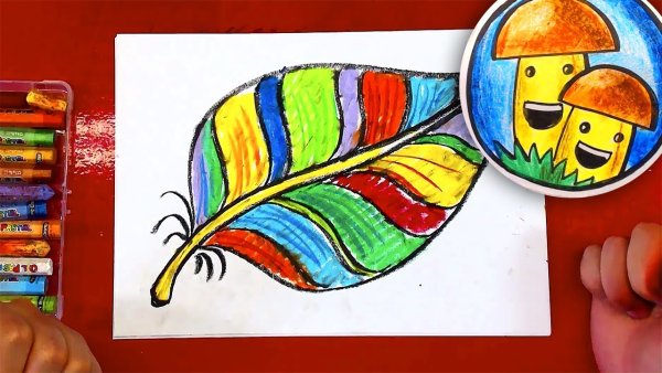 Канал рыба кит папа