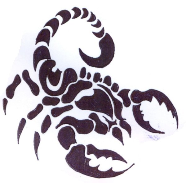 Тату трайбл Скорпион