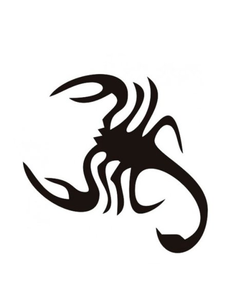 Тату Скорпион на спине