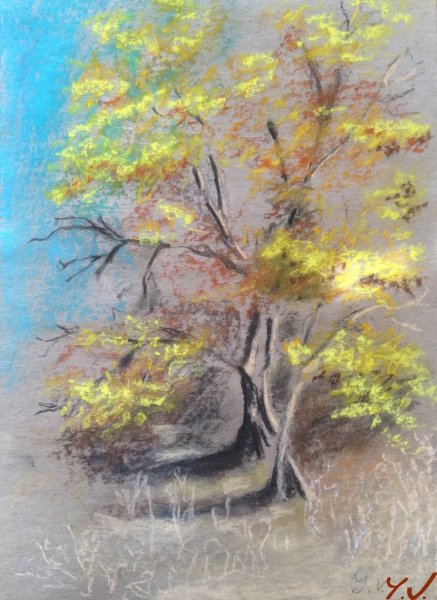 Дерево пастелью