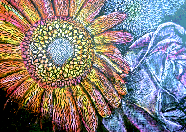 Техника рисования граттаж масляная пастель