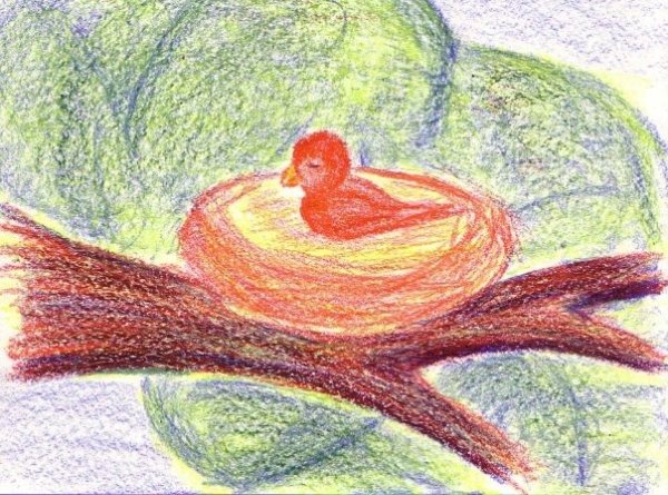 Рисование мелками в вальдорфском саду