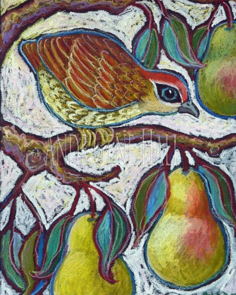 Птицы масляными мелками