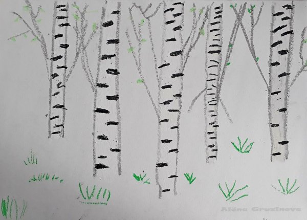 Рисунки мелками берёзы